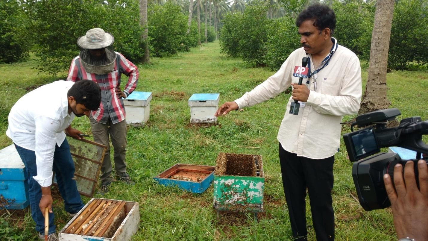 Apiary inspection and field media documentation from the training profile.