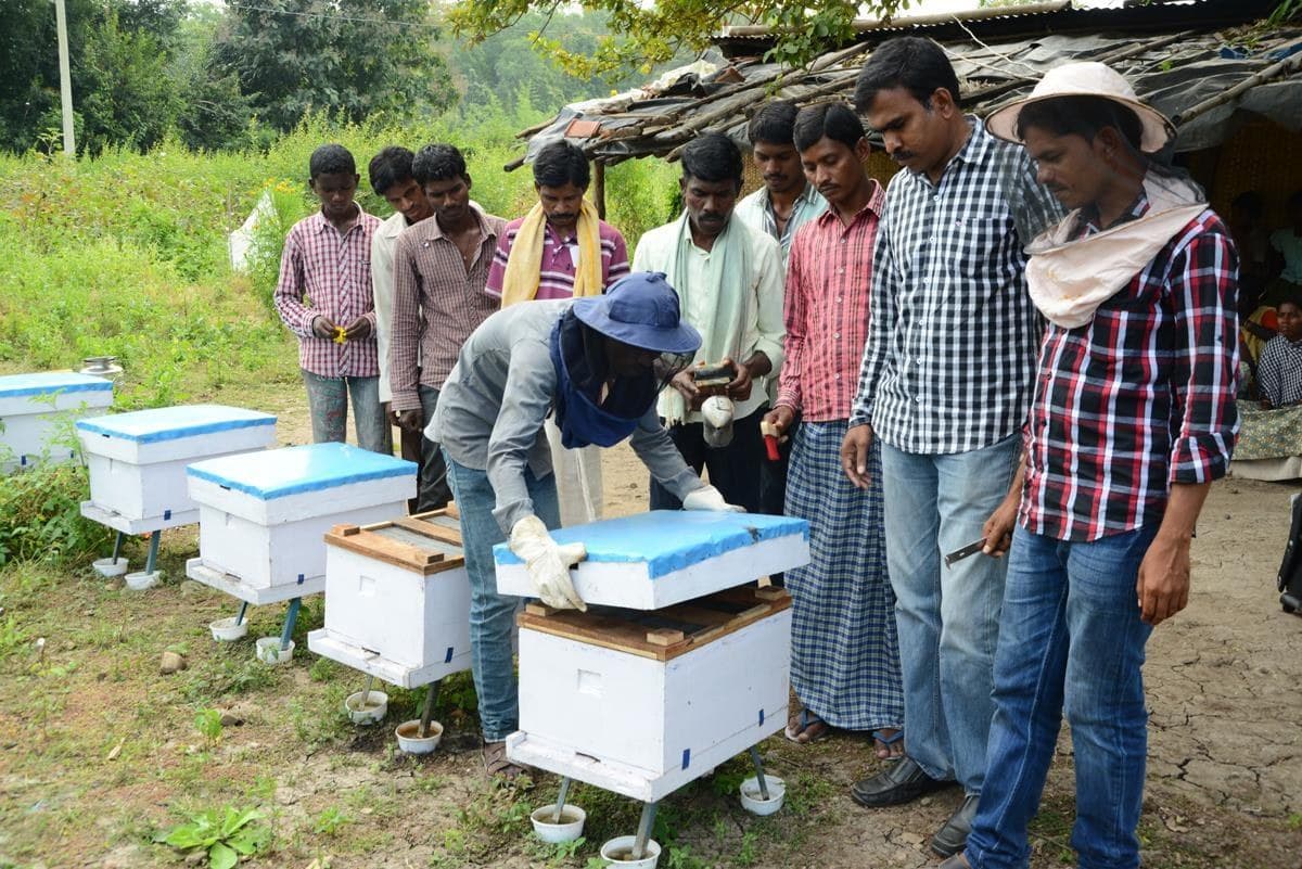 Hands-on hive box field visit during beekeeping training.