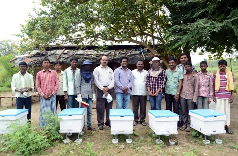 Training group reviewing hive boxes in the apiary yard.